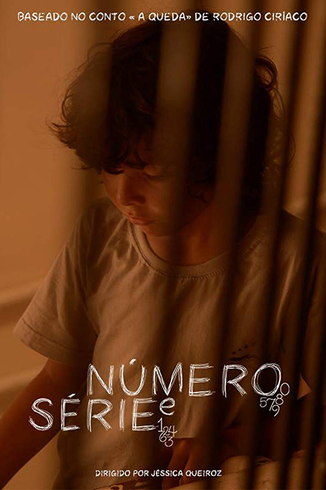Número e Série (2015)